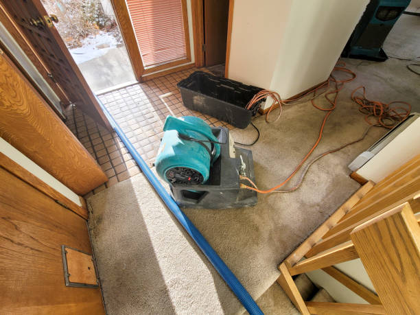 Best Water damage restoration near me  in Meridian Hills, IN