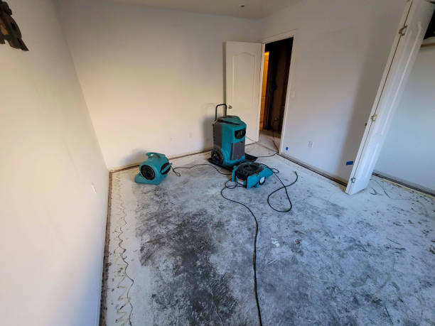 Best Water damage restoration insurance claims  in Meridian Hills, IN