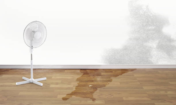 Best 24-hour water damage restoration  in Meridian Hills, IN