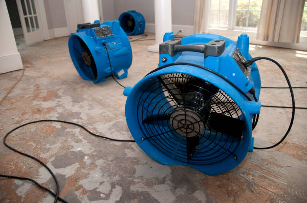 Best Fire Damage Restoration  in Meridian Hills, IN