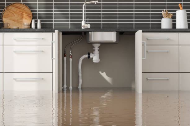 Best 24-hour water damage restoration  in Meridian Hills, IN